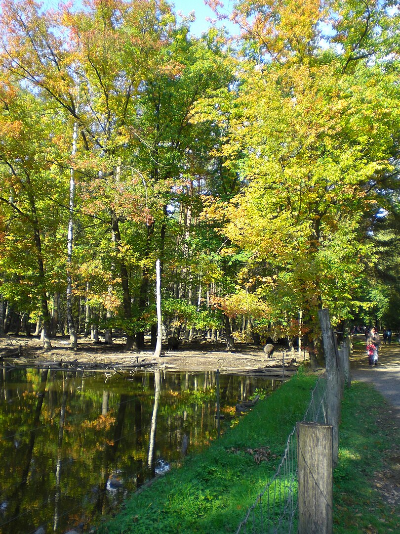 Wildpark Alte Fasanerie